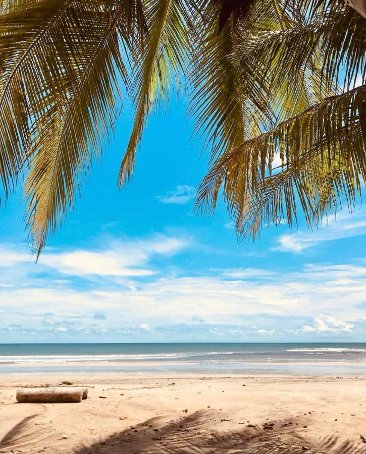 Beach Eco Stays Hotel Boutique Lagoinha بارايبابا المظهر الخارجي الصورة